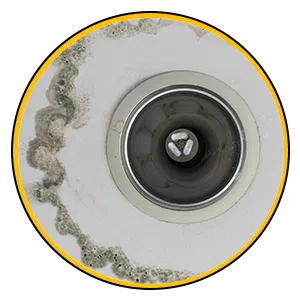 Lake Worth Restoration Expert Lake Worth, FL 561-349-5365 Lake Worth Restoration Expert Lake Worth, FL 561-349-5365 - sb-ser-03